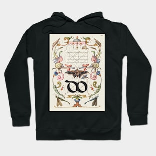 Antique 16th Century Calligraphy Ligature Do Hoodie